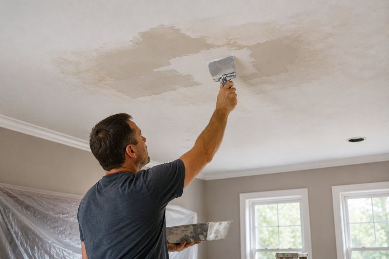 Ceiling Leak Repair Service in Denver, CO