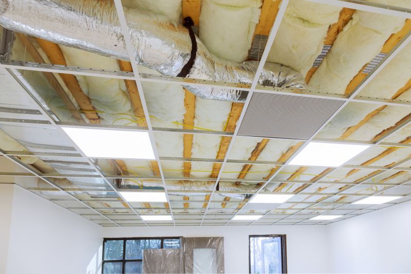 Ceiling Removal Service in Katy, TX